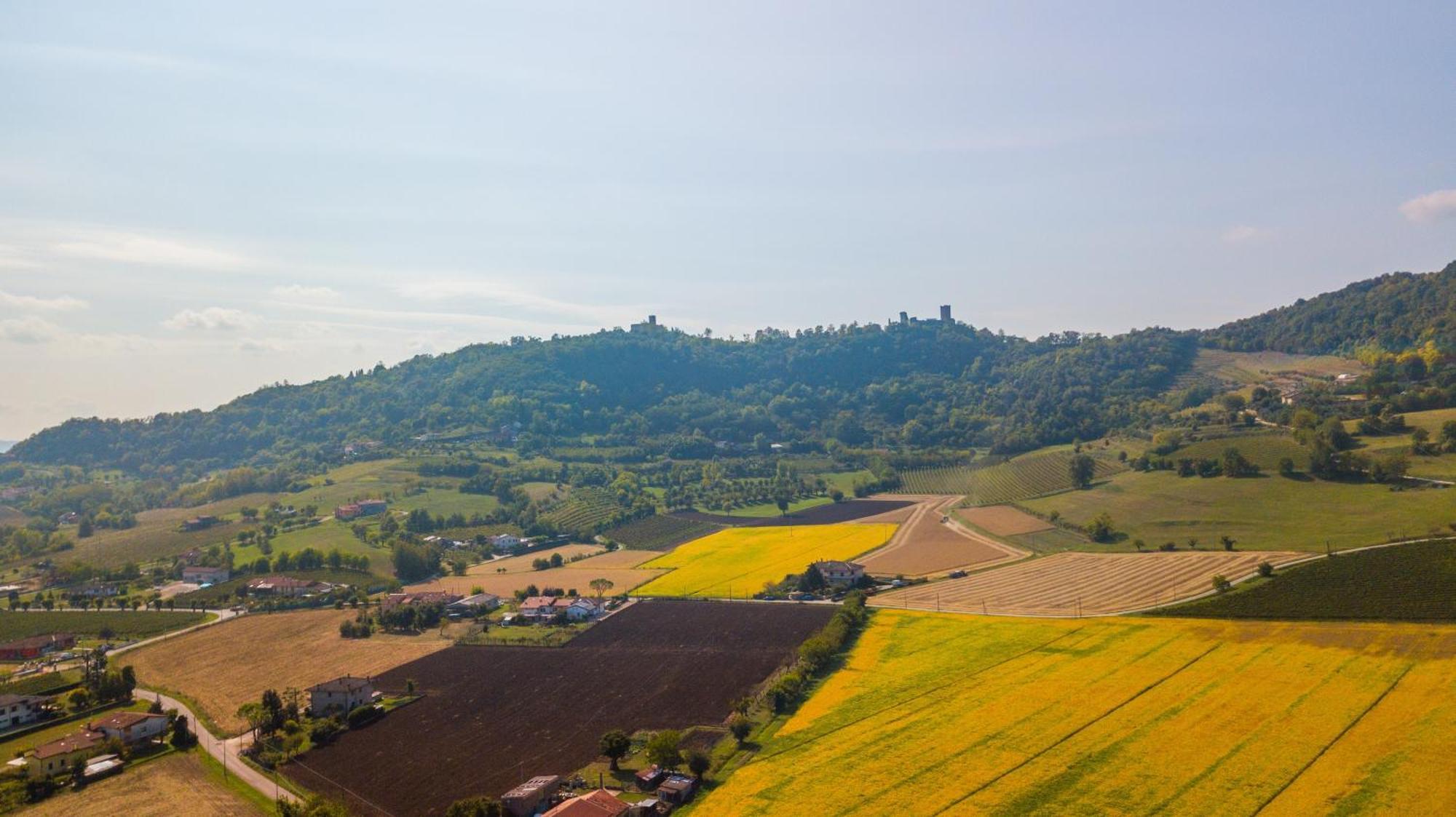 Agriturismo Riva Ratta Montecchio Maggiore Luaran gambar